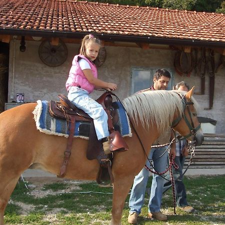 Отель Agritur Le Pergole Villa Lagarina Экстерьер фото