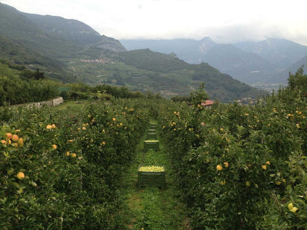 Отель Agritur Le Pergole Villa Lagarina Экстерьер фото