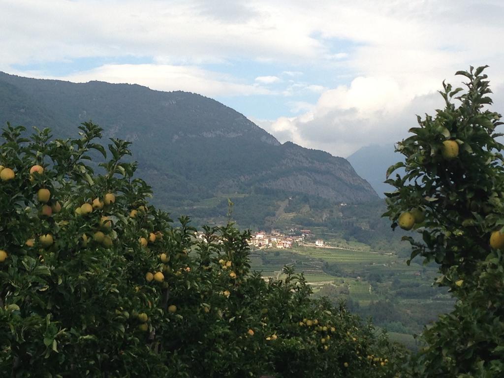 Отель Agritur Le Pergole Villa Lagarina Экстерьер фото