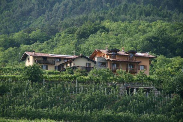 Отель Agritur Le Pergole Villa Lagarina Экстерьер фото